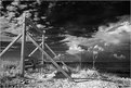 Picture Title - swing with a view  IR