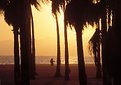 Picture Title - Venice Beach V