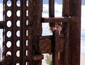 Picture Title - At The Border Fence