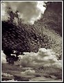 Picture Title - I've Looked at Clouds