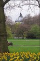 Picture Title - St James Park