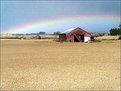 Picture Title - After the harvest