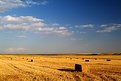 Picture Title - Harvested Field