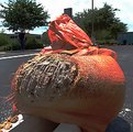 Picture Title - Pummeled Pumpkin