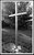 A Simple Cross, Circa 1999