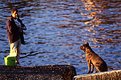 Picture Title - Friends