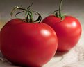 Picture Title - tomatoes