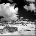 Picture Title - Moorland