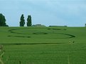 Picture Title - Crop circle