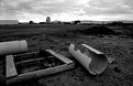 Picture Title - Sculpture Park - Laverton North