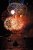 Fireworks over Detroit