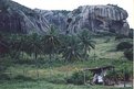 Picture Title - Skull Stone