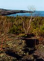 Picture Title - Palisade Head Overlook
