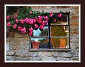 Picture Title - Flowers over the window