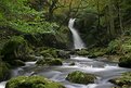 Picture Title - Dolgoch Falls