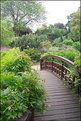 Picture Title - Regent's Park