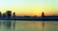 Picture Title - A special kind of morning no 3