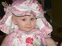 Picture Title - Paisley Rose 2