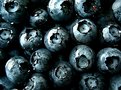 Picture Title - BLUEBERRIES - My favorite