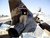 Lu - Ira Airplane