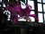flor.de.maio
