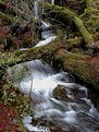 Picture Title - Mountain Stream