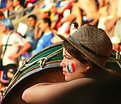 Picture Title - french fan