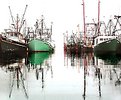 Picture Title - fishing fleet