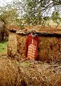 Picture Title - Lonely Masai