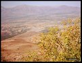 Picture Title - lowland of Erzincan