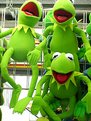 Picture Title - ...Three Kermits Kackling...