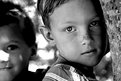 Picture Title - two boys in a tree