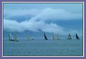 Picture Title - A Sail boat race