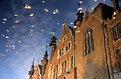 Picture Title - Reflections of Bruges