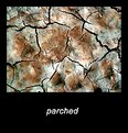 Picture Title - Parched