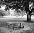 Picture Title - empty