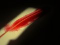 Picture Title - Red