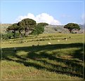 Picture Title - Cretan landscape 