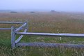 Picture Title - Nantucket Fog