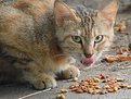 Picture Title - mm... this photographer looks delicious...