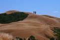 Picture Title - Tuscan landscape
