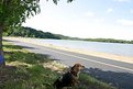 Picture Title - Missy at the lake!