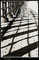 Picture Title - Just Shadows