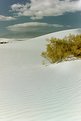 Picture Title - white sands
