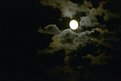 Picture Title - MOON NITE