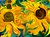 Daisy Snails