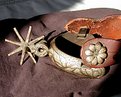 Picture Title - Silver Spurs