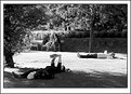 Picture Title - Reading in the shade
