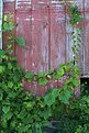 Picture Title - Weatherbeaten Barn #1