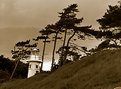 Picture Title - South - Lepe